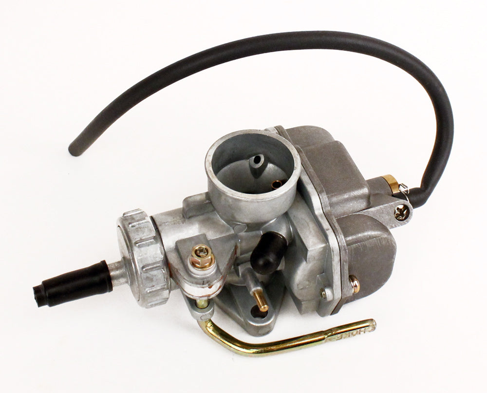 Briggs LO206 Carburetor for Briggs Animal Engine 125.555658