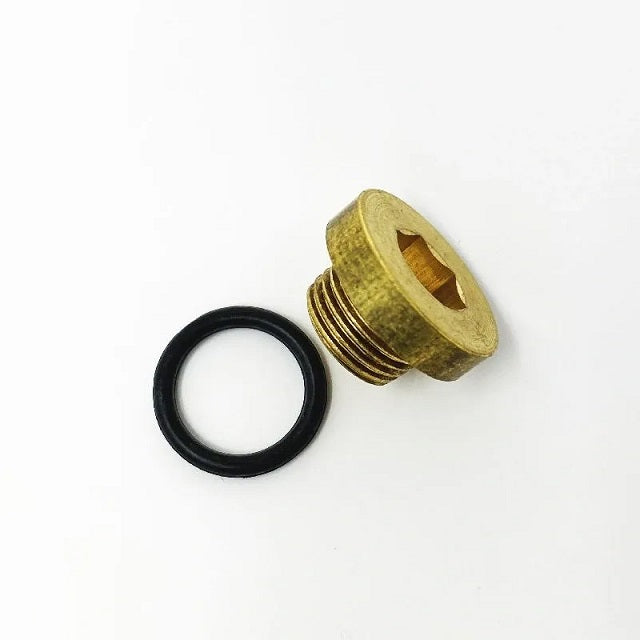 Briggs LO206 Animal Engine Float Bowl Drain Plug with O - ring