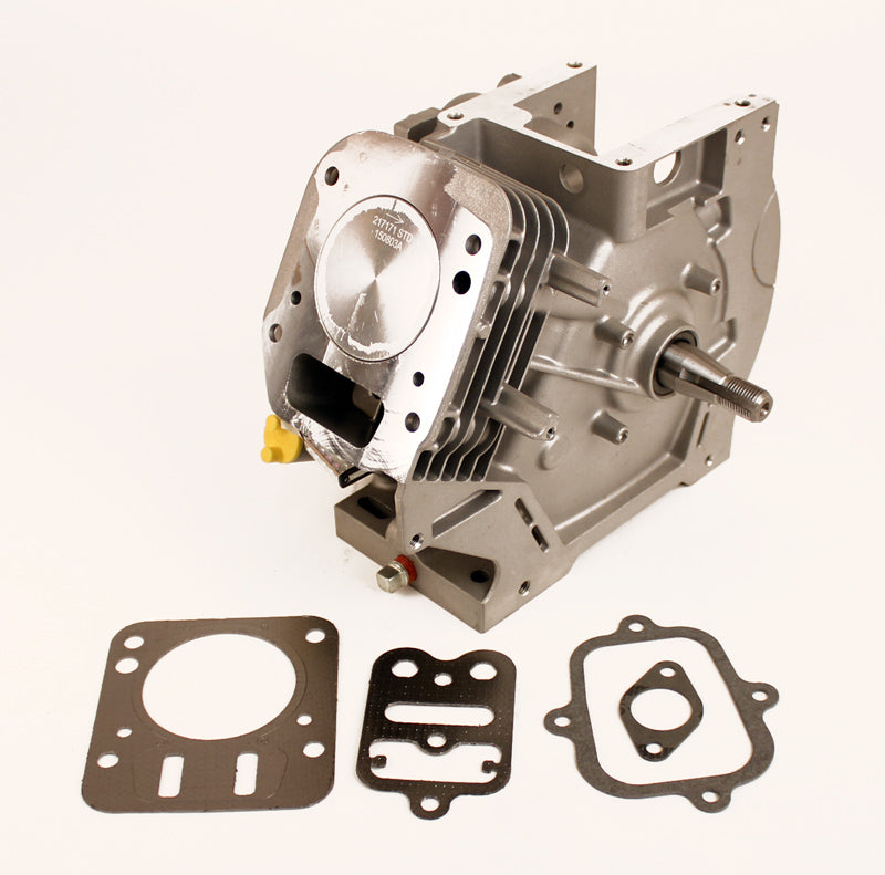 555715 Briggs LO206 Sealed Short Block